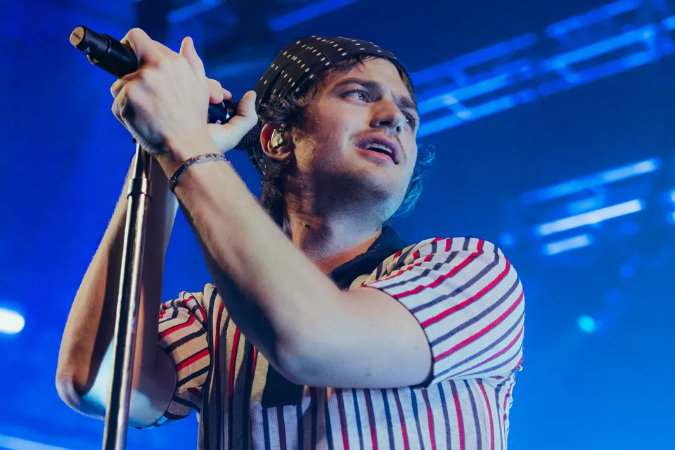 Craving Another Bite of Djo and Post Animal in New Haven